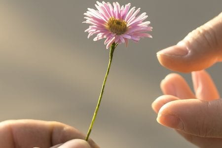 Homeless Hotline | The Gateway Family YMCA