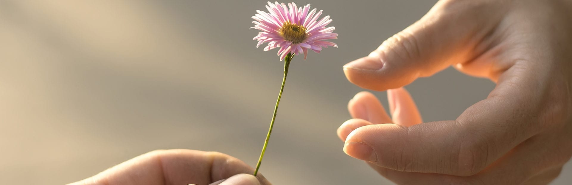 Homeless Hotline | The Gateway Family YMCA