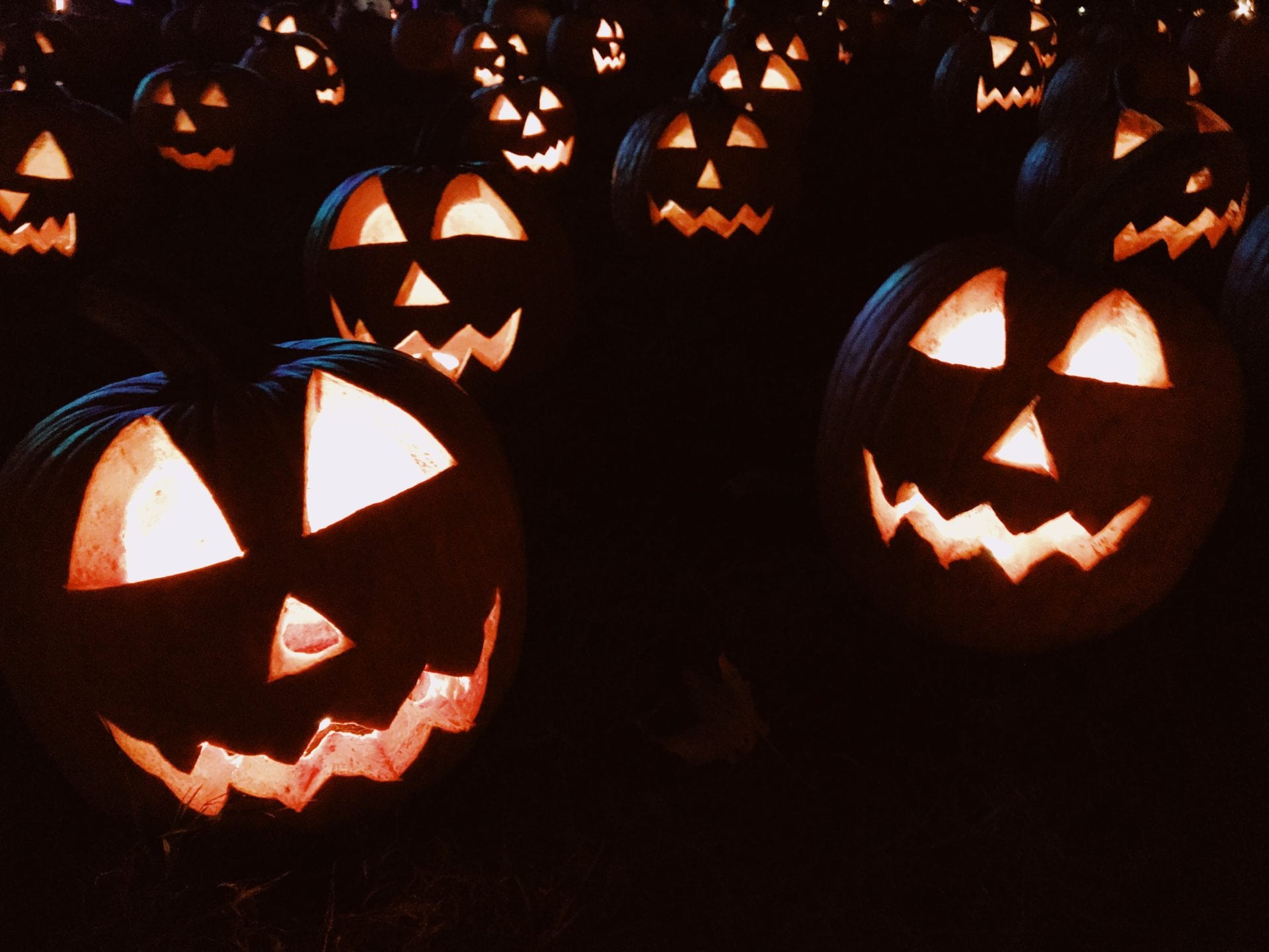 Pumpkins carved into jack-o-lanterns on display at night.
